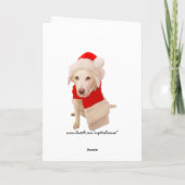 ホワかわいらしイトサンタ子猫 シーズンカード (裏面)