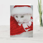 ホワかわいらしイトサンタ子猫 シーズンカード (正面)