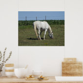 ホワかわいらしイ食べ物トホース農場内 ポスター (キッチン)