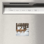 ホワイテールシカ マグネット (インサイチュ (食洗機))