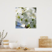 ホワイトさくらんぼの木の花 ポスター (キッチン)