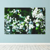 ホワイトさくらんぼフラズグリーン葉ズ キャンバスプリント (インサイチュ (ウッドフロア))