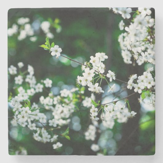 ホワイトさくらんぼフラズグリーン葉ズ ストーンコースター (正面)