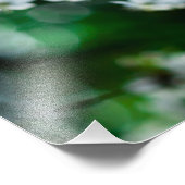 ホワイトさくらんぼフラズグリーン葉ズ フォトプリント            (角)