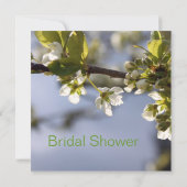ホワイトさくらんぼ開花枝ブライダルシャワー 招待状 (裏面)