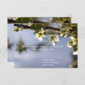 ホワイトさくらんぼ開花RSVP 結婚's 出欠カード (正面/裏面)