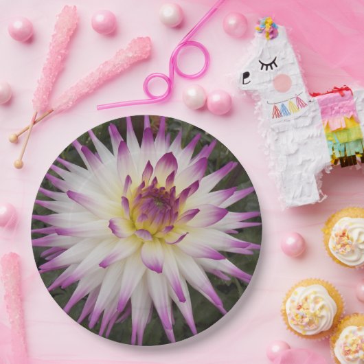 ホワイトとパープルサボテンDahliaフローラ ペーパープレート (パーティー)