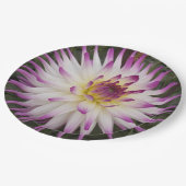 ホワイトとパープルサボテンDahliaフローラ ペーパープレート (アングル)
