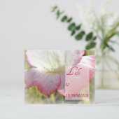 ホワイトアイスランドポピー – 人生はインスピレーションのポストカード ポストカード (スタンド正面)