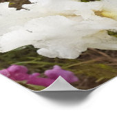 ホワイトアイリスアイリスフローラフラワーガーデンポスター ポスター (角)