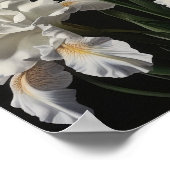 ホワイトアイリスフラワーアートプリントポスター ポスター (角)