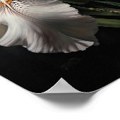 ホワイトアイリスフラワーズアートプリントポスター ポスター (角)