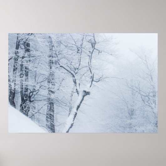 ホワイトアウト ポスター (正面)