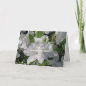 ホワイトアザリアスマザーズデイカード カード (裏面)