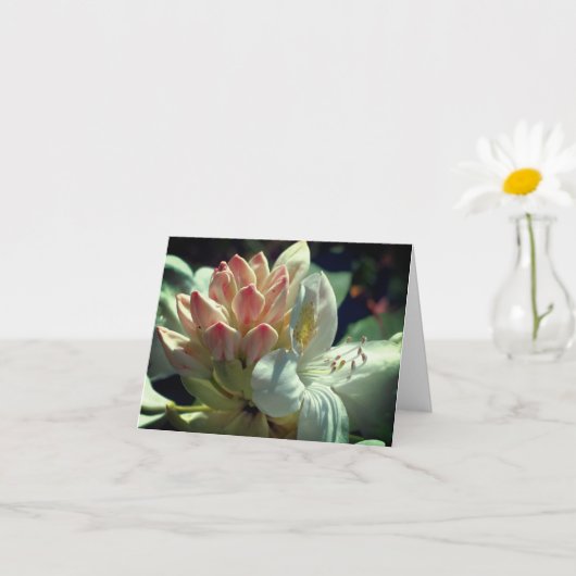 ホワイトアザレアフラワーノパーソナライズされたート カード (小さな植物)