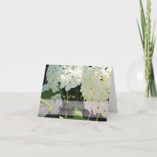 ホワイトアジサイ誕生日ウィッシュ カード (正面)