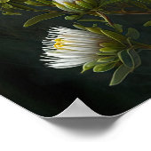 ホワイトアスターフラワーアートプリントポスター ポスター (角)