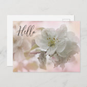 ホワイトアップルの花の写真こんにちは ポストカード (正面/裏面)