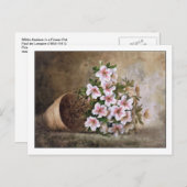 ホワイトアツレアスファインアートスチルライフポールデロンプレ ポストカード (正面/裏面)