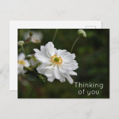 ホワイトアネモネ考えるガーデンフラワーズオブユー ポストカード (正面/裏面)
