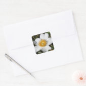 ホワイトアネモン スクエアシール (封筒)