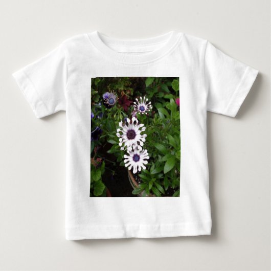 ホワイトアフリカンデイジー ベビーTシャツ (正面)