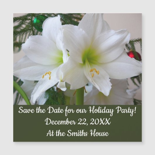 ホワイトアマリリスとクリスマスツリー (正面)