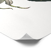 ホワイトアマリリスフラワーアートプリントポスター ポスター (角)