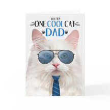 ホワイトアンゴラ猫のお父さんの日クール一猫