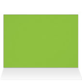 ホワイトアンスリウムハワイ (内部横(上))