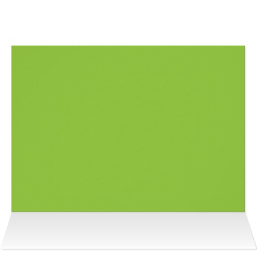 ホワイトアンスリウムハワイ (内部横(上))