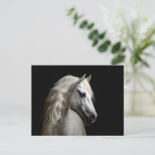 ホワイトアンダルシアンスタリオン ポストカード (スタンド正面)