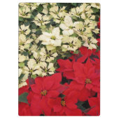 ホワイトアンドレッドポインセティアスIホリデイフローラ クリップボード (裏面)