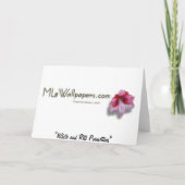 ホワイトアンドレッドポインセティアスIホリデイフローラ シーズンカード (裏面)