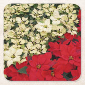 ホワイトアンドレッドポインセティアスIホリデイフローラ スクエアペーパーコースター (正面)