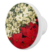 ホワイトアンドレッドポインセティアスIホリデイフローラ セラミックノブ (右)