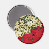 ホワイトアンドレッドポインセティアスIホリデイフローラ マグネット (正面/裏面)