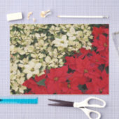 ホワイトアンドレッドポインセティアスIホリデイフローラ 薄葉紙 (クラフト)