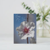 ホワイトアーモンドフラワーフローラ植物写真 ポストカード (スタンド正面)