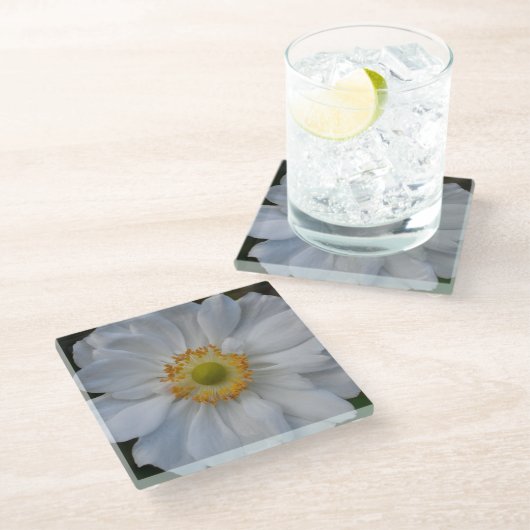 ホワイトア日本のネモンフローラ ガラスコースター (アングル)