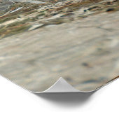 ホワイトイバスショア魚釣り(Eudocimus albus) ポスター (角)