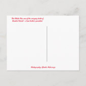 ホワイトイビスバードオンビーチサニベルアイランドフロリダ ポストカード (裏面)