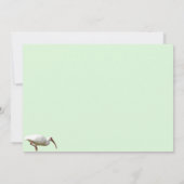 ホワイトイビスフラットグリーティングカード カード (裏面)