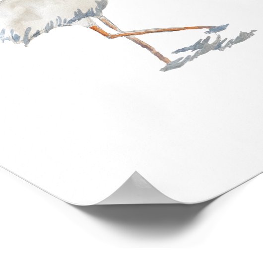 ホワイトイビスフロリダバード絵画自然 ポスター (角)