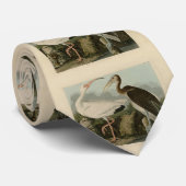 ホワイトイビス – ジョンジェームス・オードボンズ・バーズオブアメリカ ネクタイ (ロール)