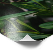 ホワイトイビス フォトプリント            (角)