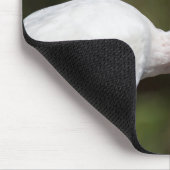 ホワイトイビス マウスパッド (コーナー)