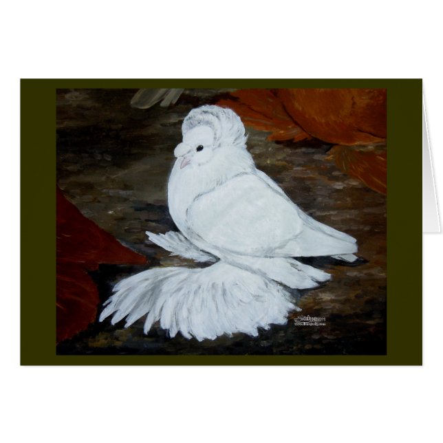 ホワイトイングリッシュトランピーターピジョン (正面横)