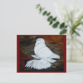 ホワイトイングリッシュトランピーターピジョン ポストカード (スタンド正面)