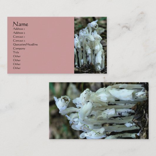 ホワイトインディアンパイプワイルドフラワーズ名刺 名刺 (正面/裏面)